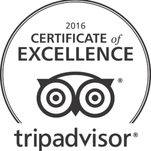 tripadvisor-logo